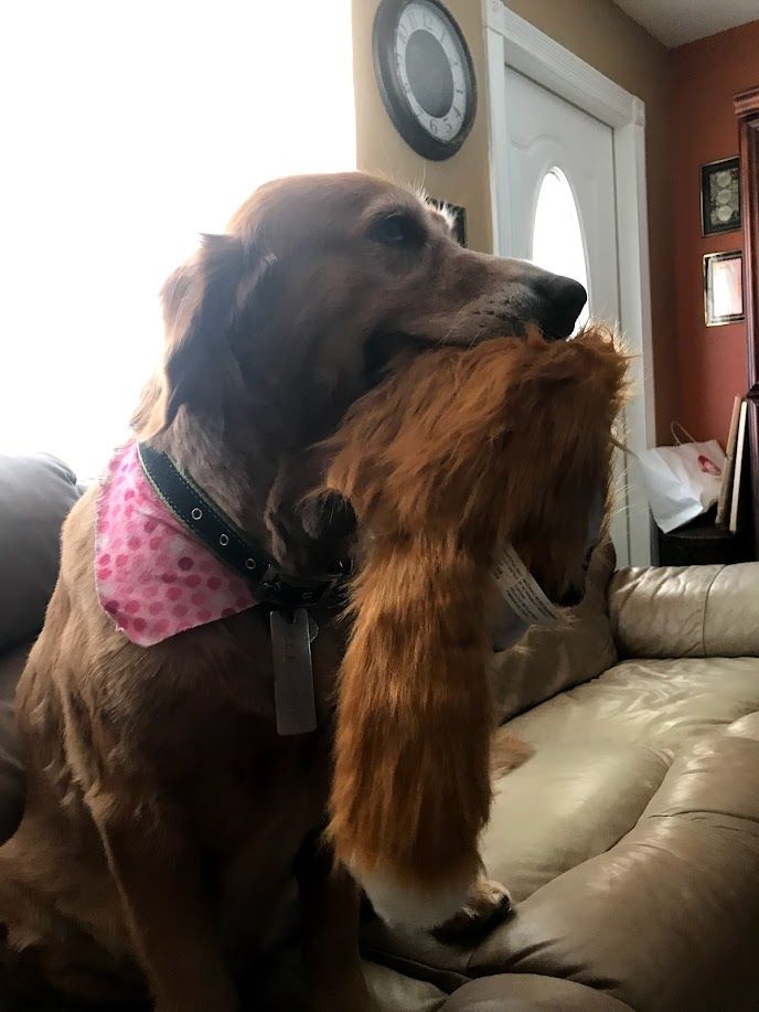 Bella - additional photo