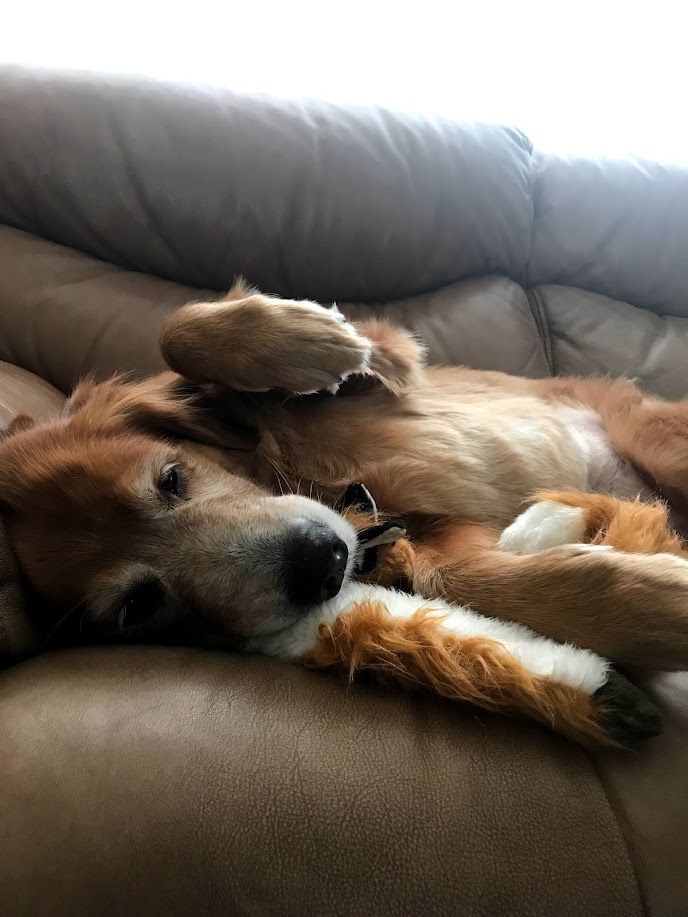 Bella - additional photo