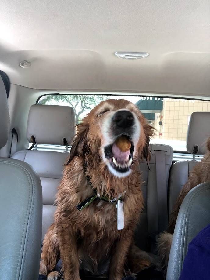 Bella - additional photo