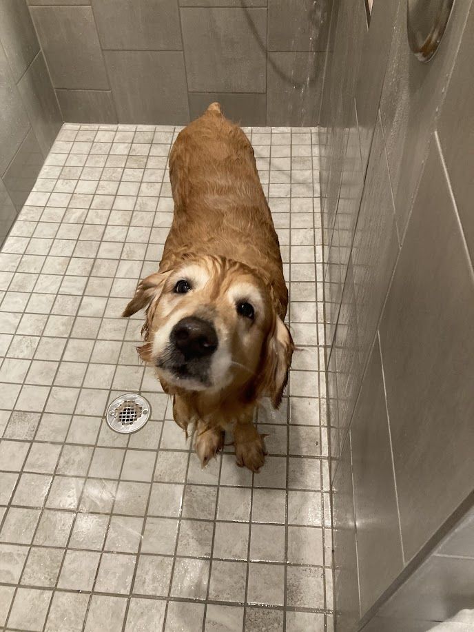 Collette - additional photo