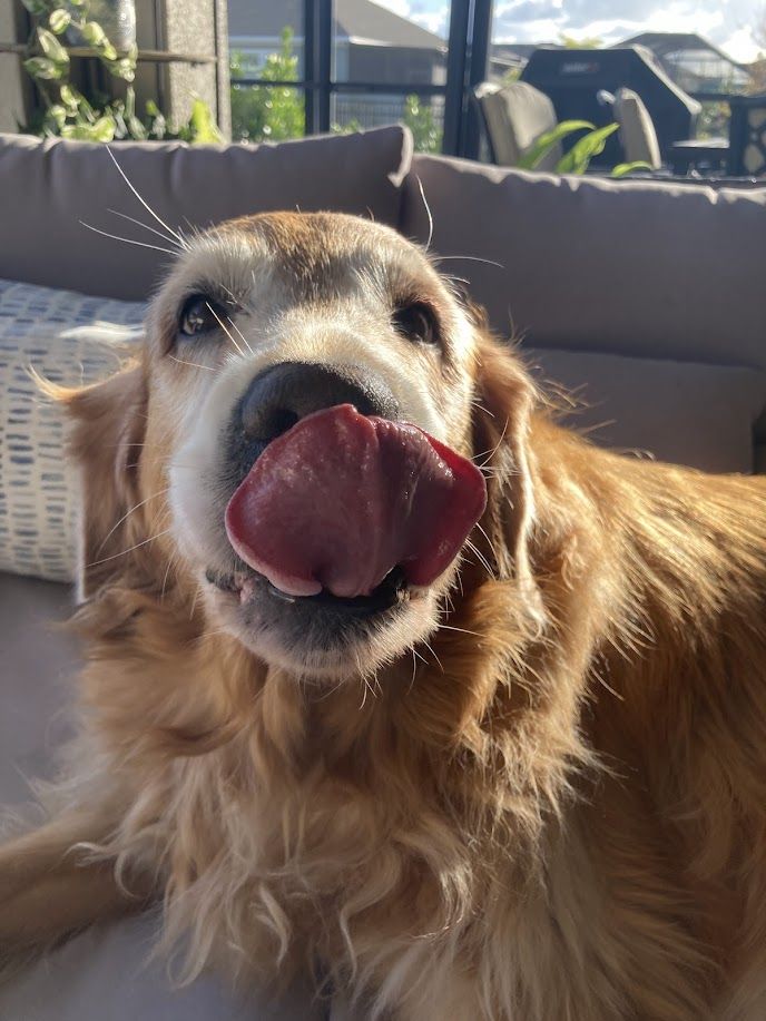 Collette - additional photo